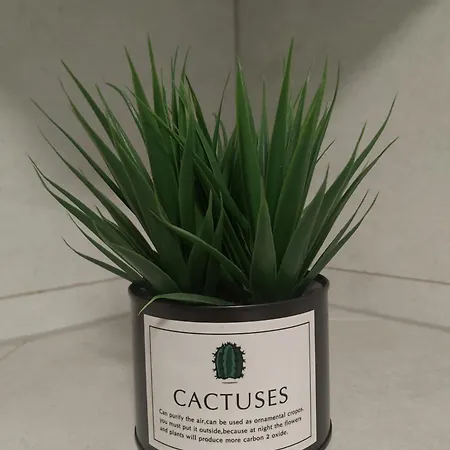 Apartman Luxury Center *